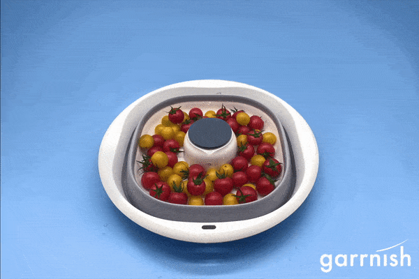 Garrnish Pesticide Purifier | The most effective way to purify your produce at home.